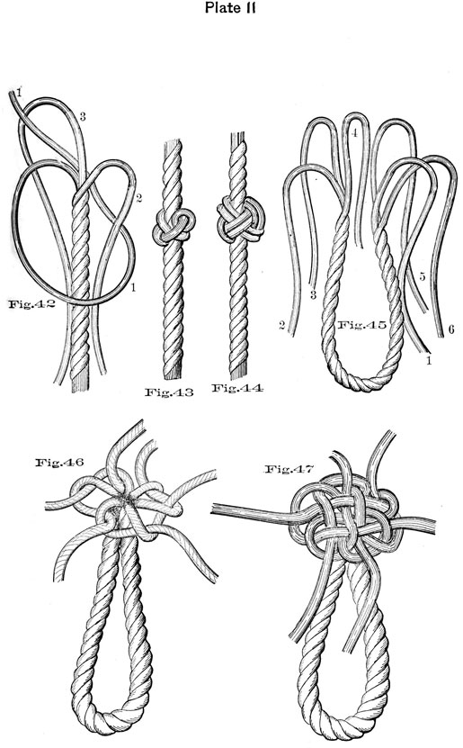 Plate 11, Fig 42-47.
