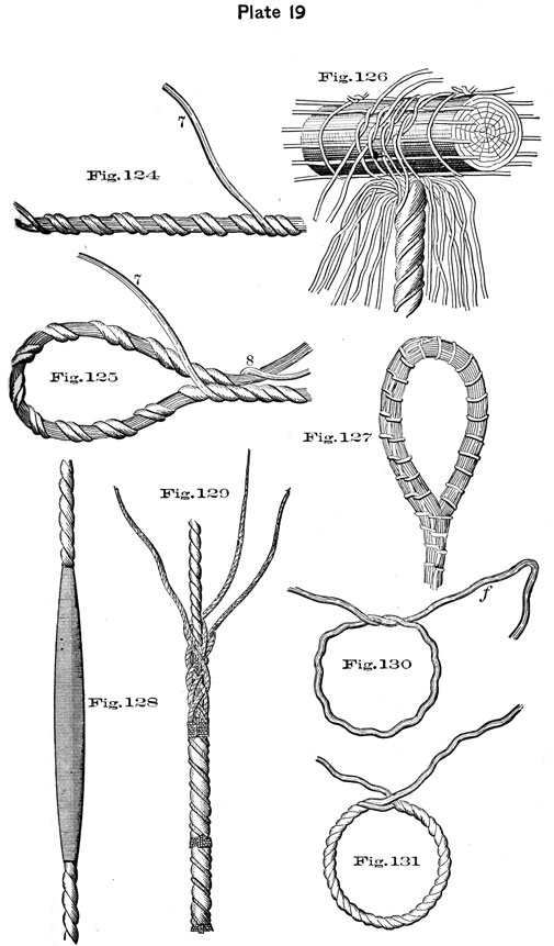 Plate 19, Fig 124-131.